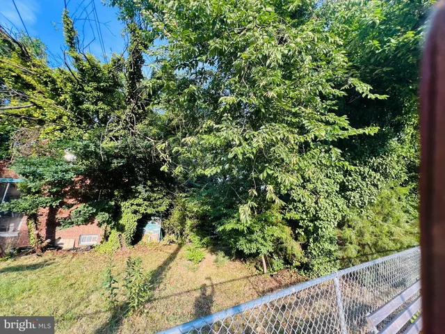 a view of a yard with plants