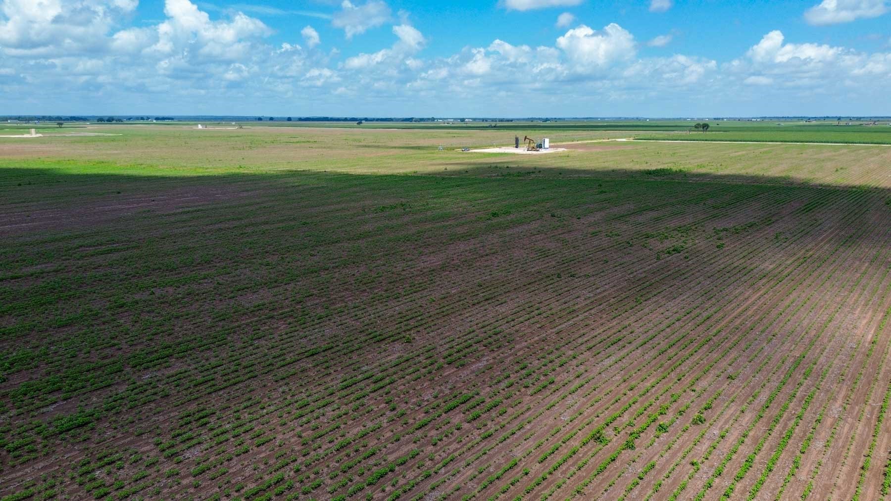 0 Sims Lane Bryan, TX 77807 - Photo 15 of 27