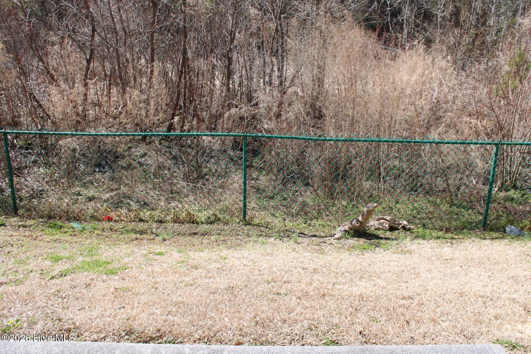 110 Apache Trail Havelock, NC 28532 - Photo 28 of 28 IMG_7099