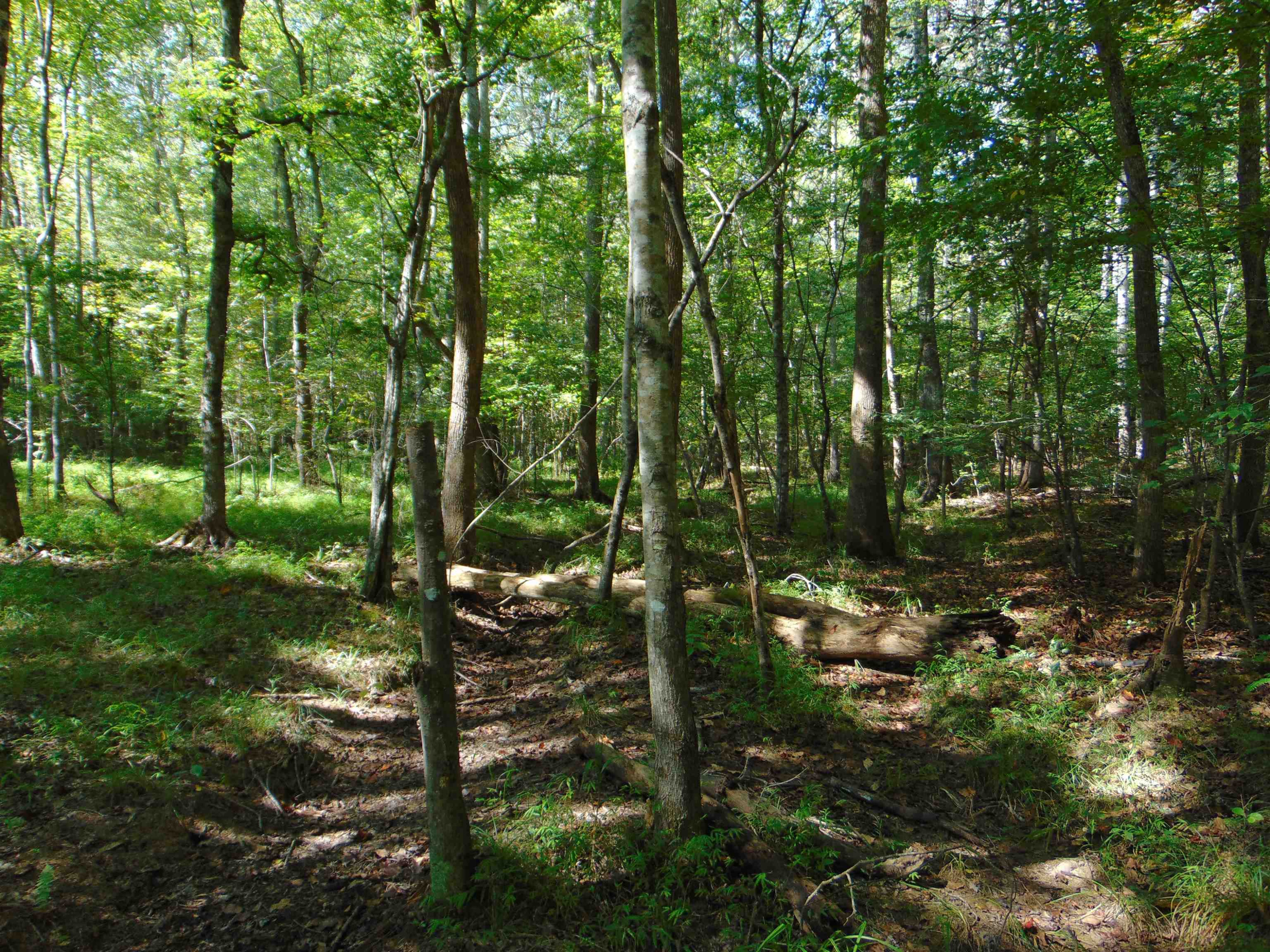 Noel Tuck Road Oxford, NC 27565 - Photo 20 of 34 Photo 20