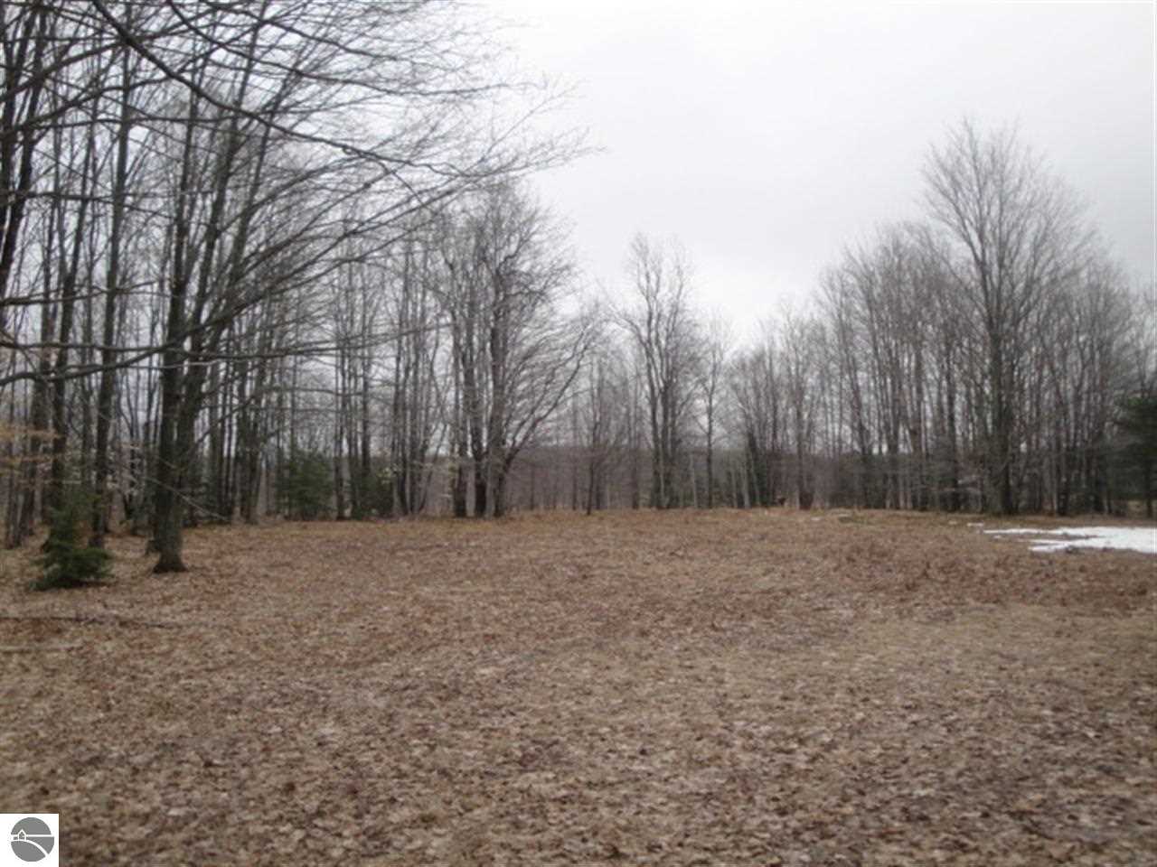 1253 Thomas Road Kalkaska, MI 49646 - Photo 40 of 42 1845856-39.JPG