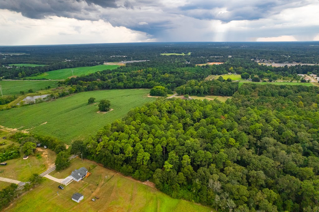 0 East Wayne Road Dothan, AL 36301 - Photo 10 of 18