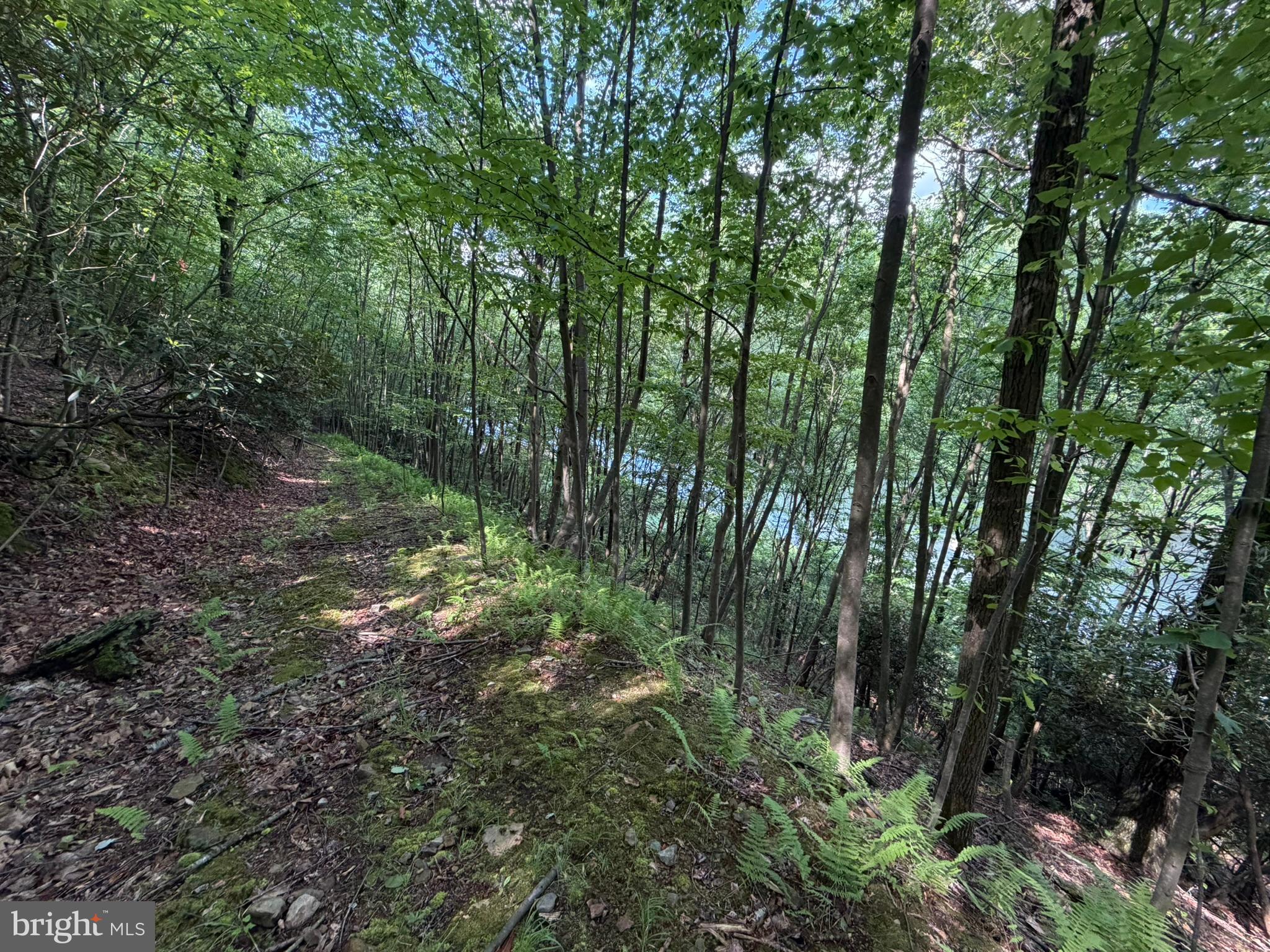 848 Sugar Camp Road Clearfield, PA 16830 - Photo 113 of 118