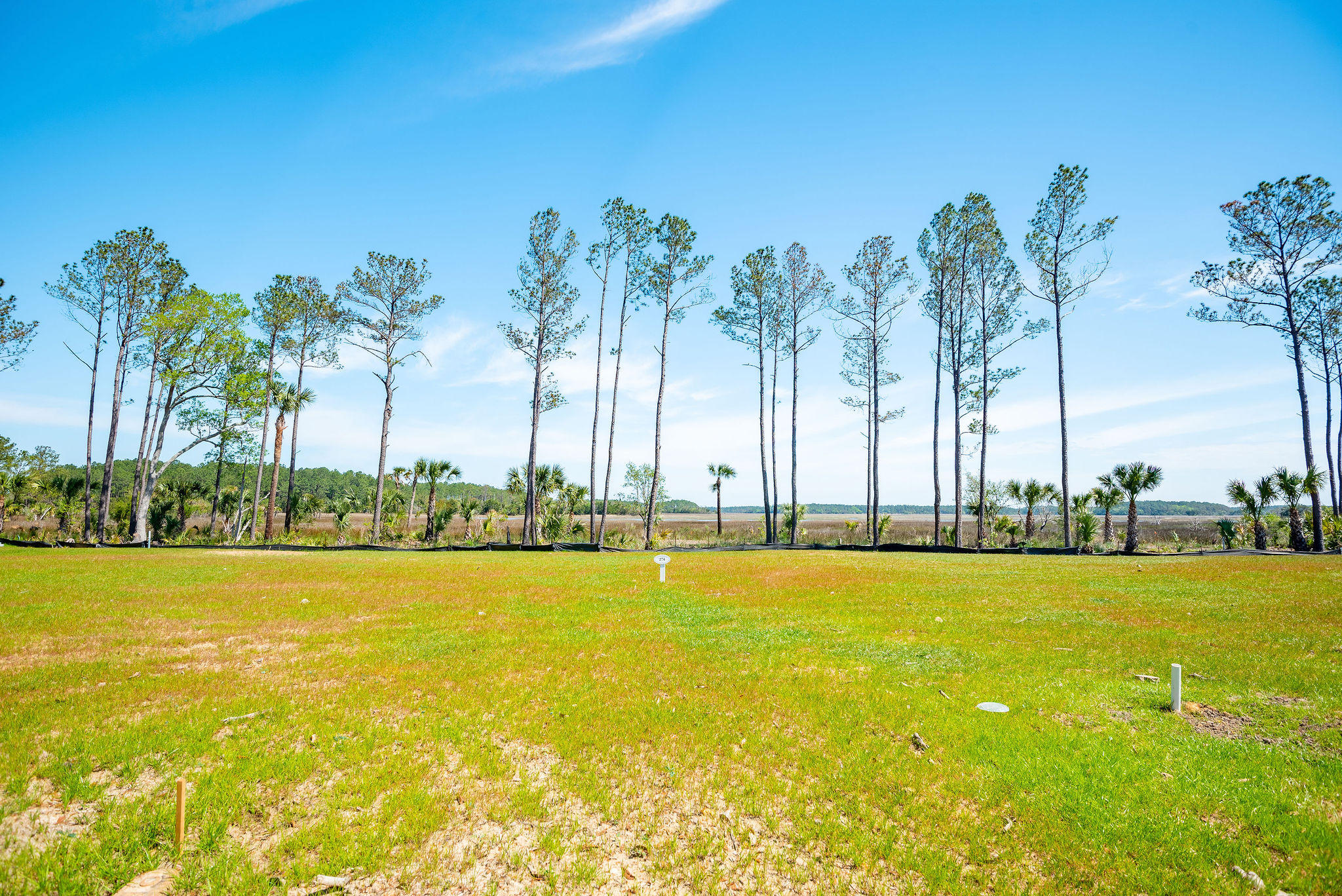 280 Captain Goddard Road Charleston, SC 29492 - Photo 2 of 20 268-274-280CaptainGoddardRoad-KeenEyeMar