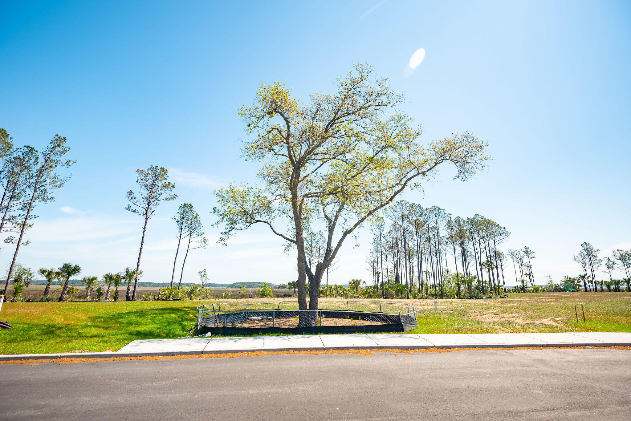 280 Captain Goddard Road Charleston, SC 29492 - Photo 13 of 20 268-274-280CaptainGoddardRoad-KeenEyeMar