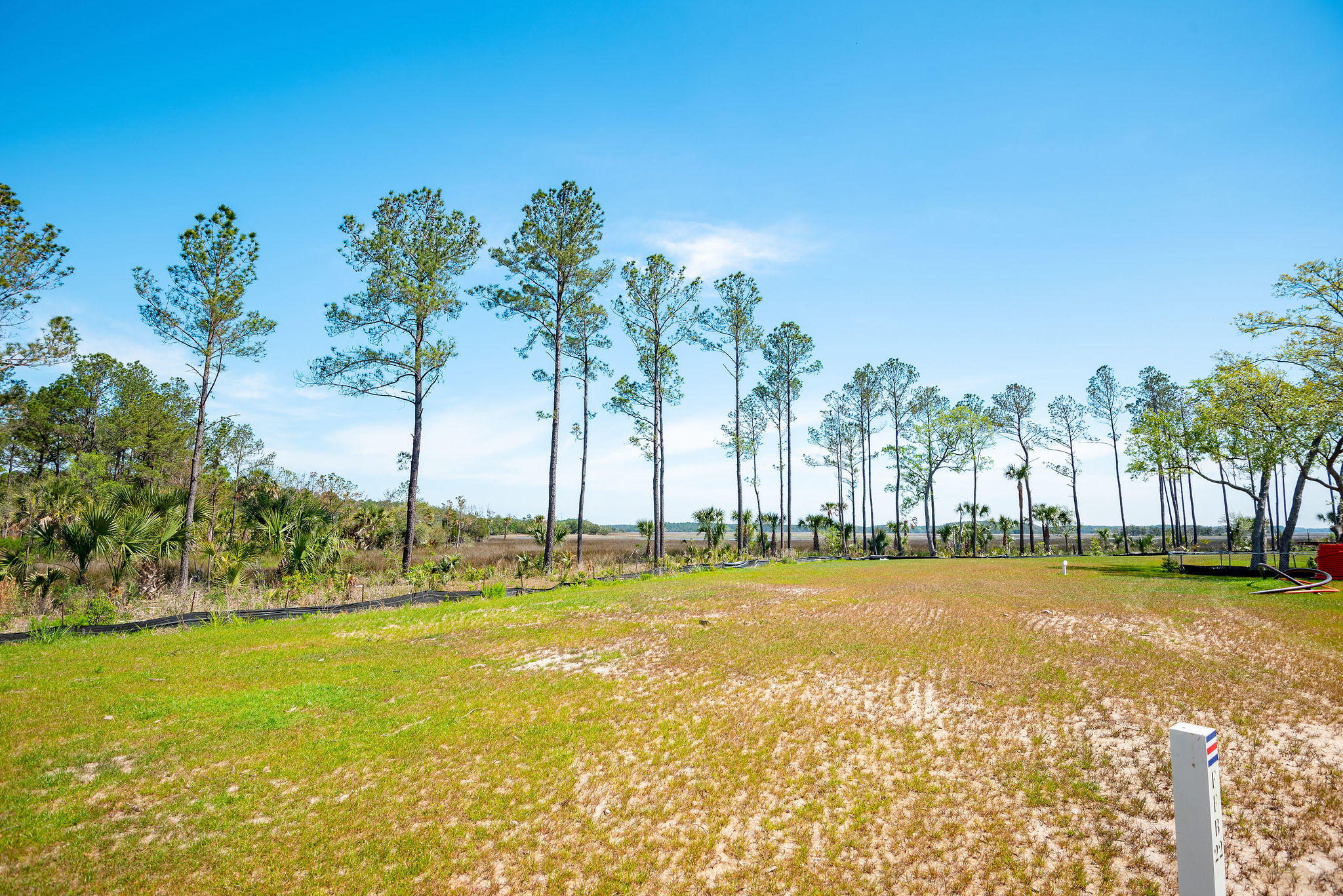 280 Captain Goddard Road Charleston, SC 29492 - Photo 3 of 20 268-274-280CaptainGoddardRoad-KeenEyeMar