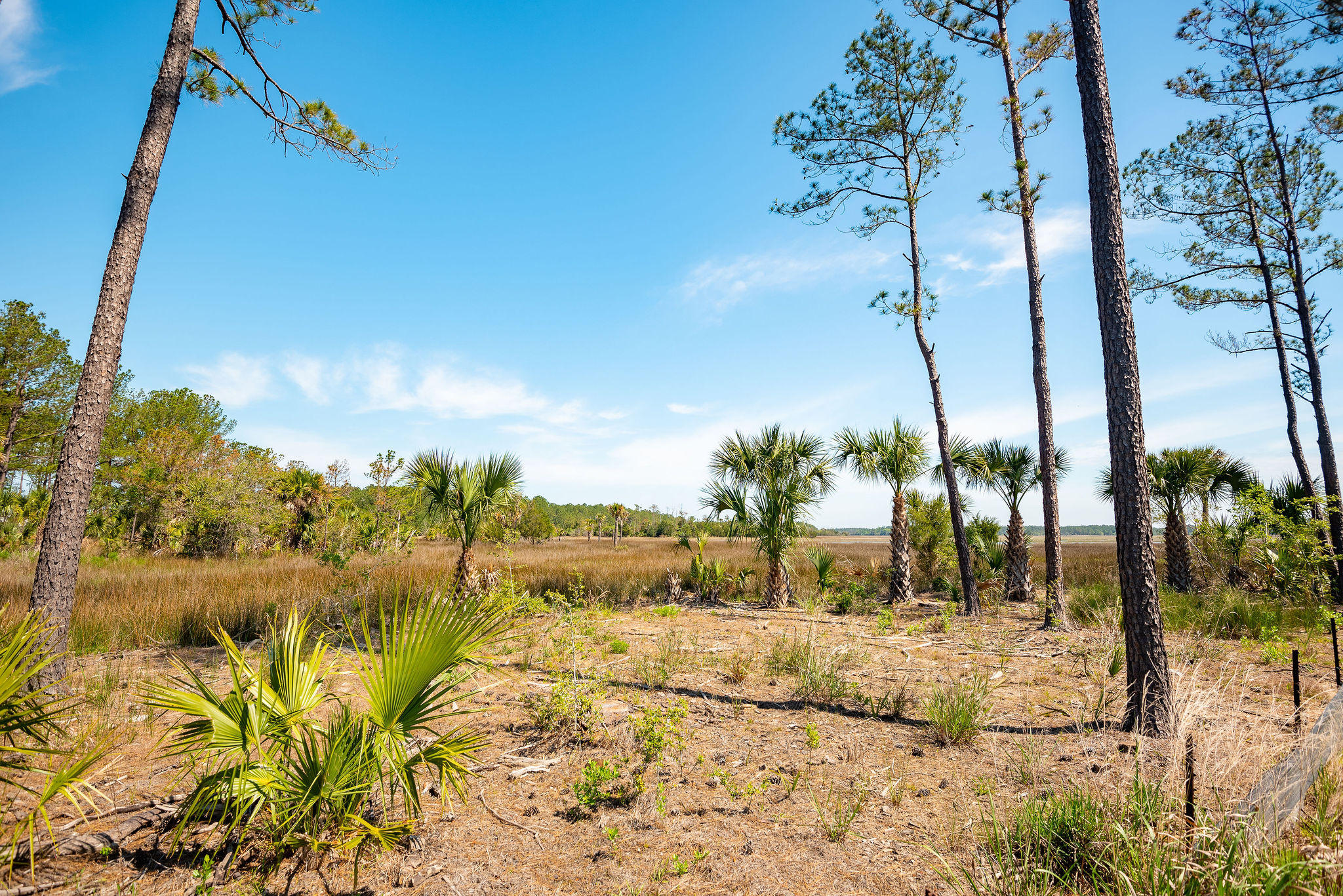 280 Captain Goddard Road Charleston, SC 29492 - Photo 6 of 20 268-274-280CaptainGoddardRoad-KeenEyeMar