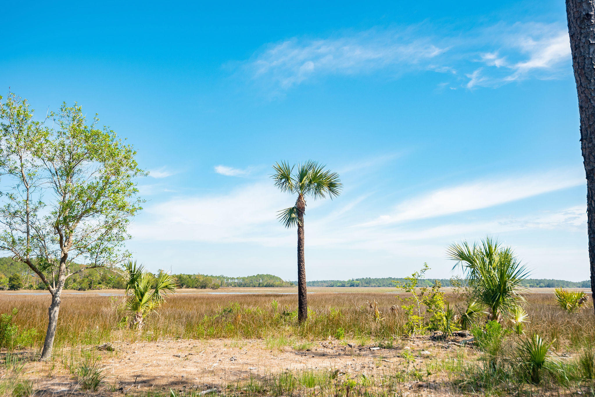 280 Captain Goddard Road Charleston, SC 29492 - Photo 7 of 20 268-274-280CaptainGoddardRoad-KeenEyeMar