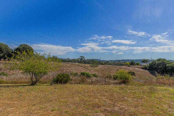 118 Paddon Road Watsonville, CA 95076 - Photo 23 of 29 Gallery Image 23