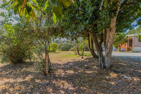 118 Paddon Road Watsonville, CA 95076 - Photo 27 of 29 Gallery Image 27