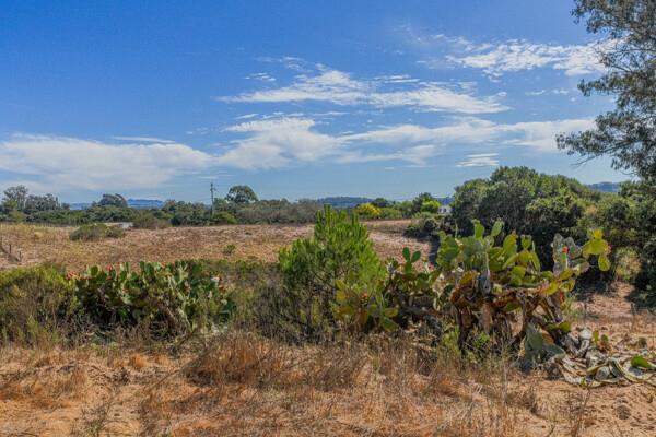 118 Paddon Road Watsonville, CA 95076 - Photo 29 of 29 Gallery Image 29