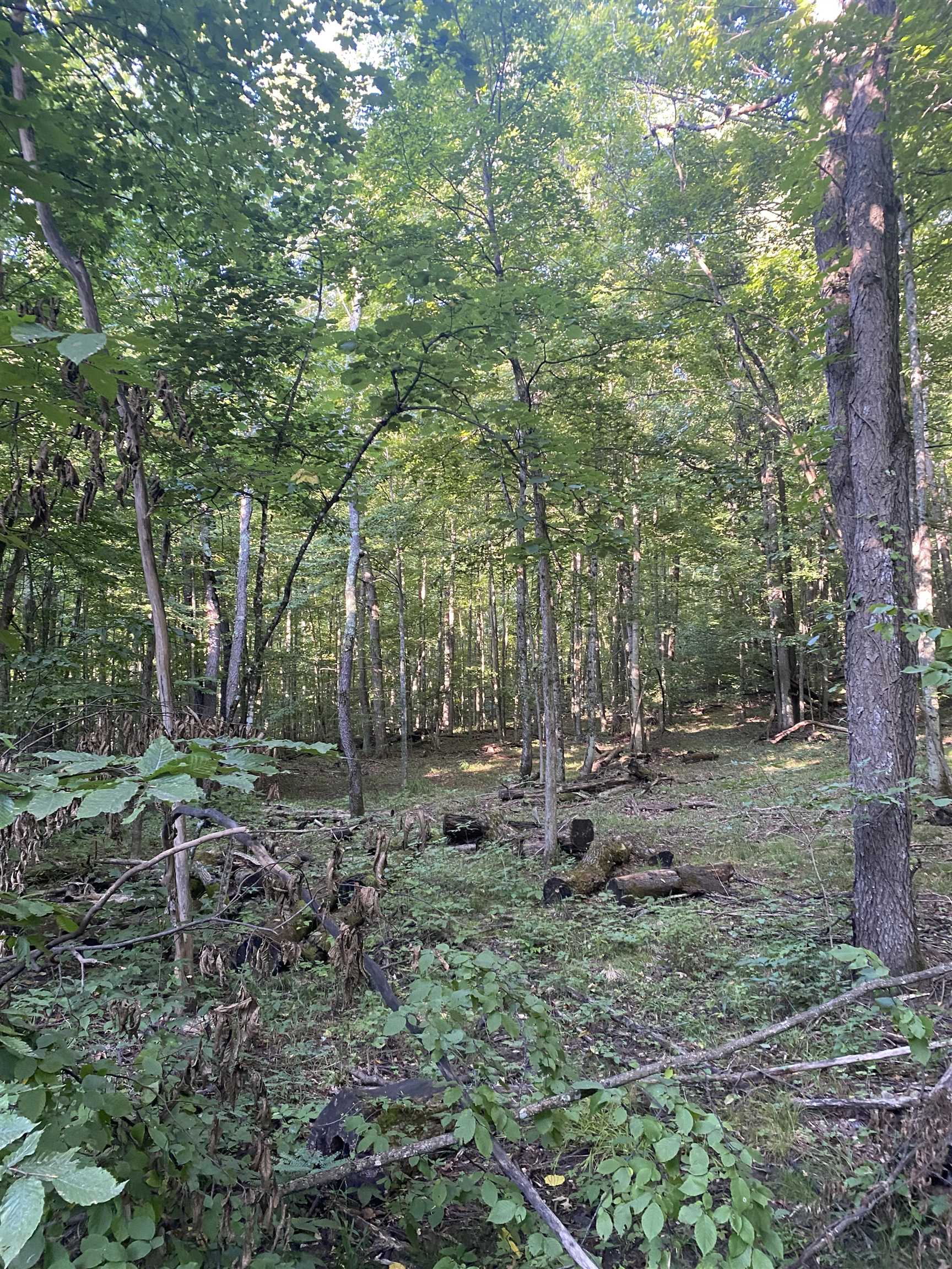 0 Dundas Road Northwest Alden, MI 49612 - Photo 1 of 8