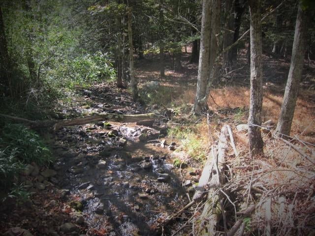 14 Wallace Hollow Road Lindside, WV 24951 - Photo 55 of 89 Gallery Image 55