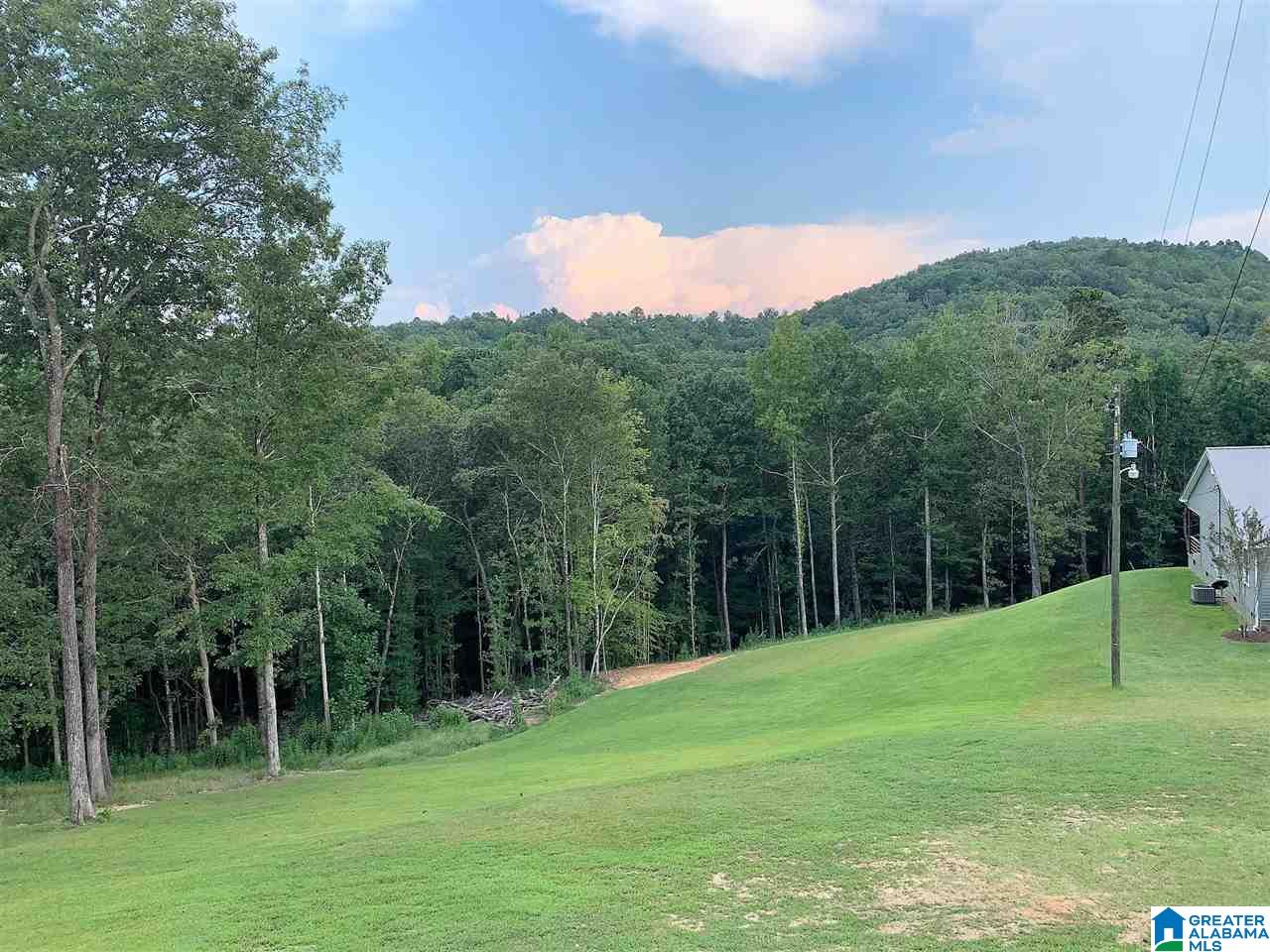 1281 Mohawk Cliff Road Ohatchee, AL 36271 - Photo 9 of 50
