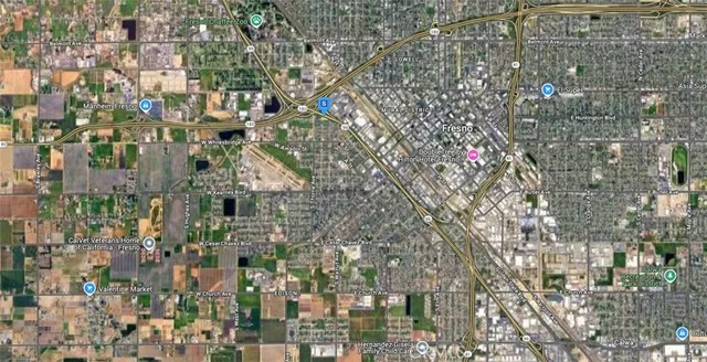 a close up of a tree