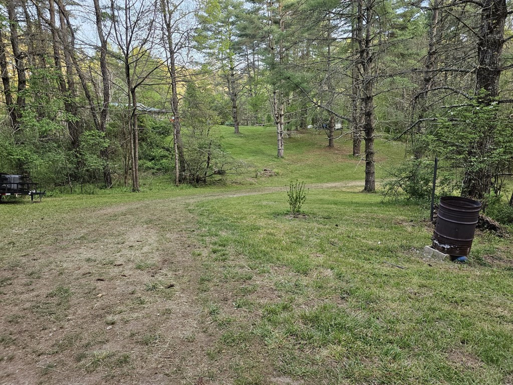 24 Raymond Road Murphy, NC 28906 - Photo 4 of 7