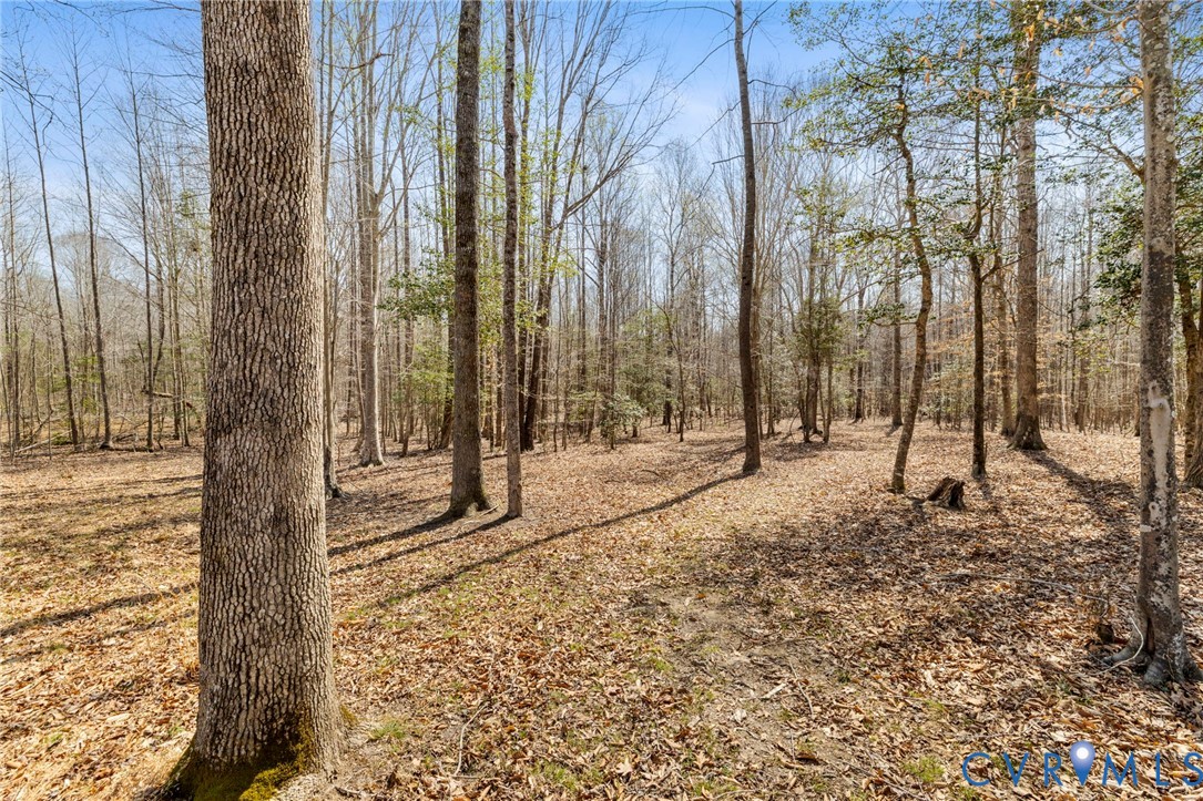 11177 Creeks Edge Road New Kent, VA 23124 - Photo 35 of 45