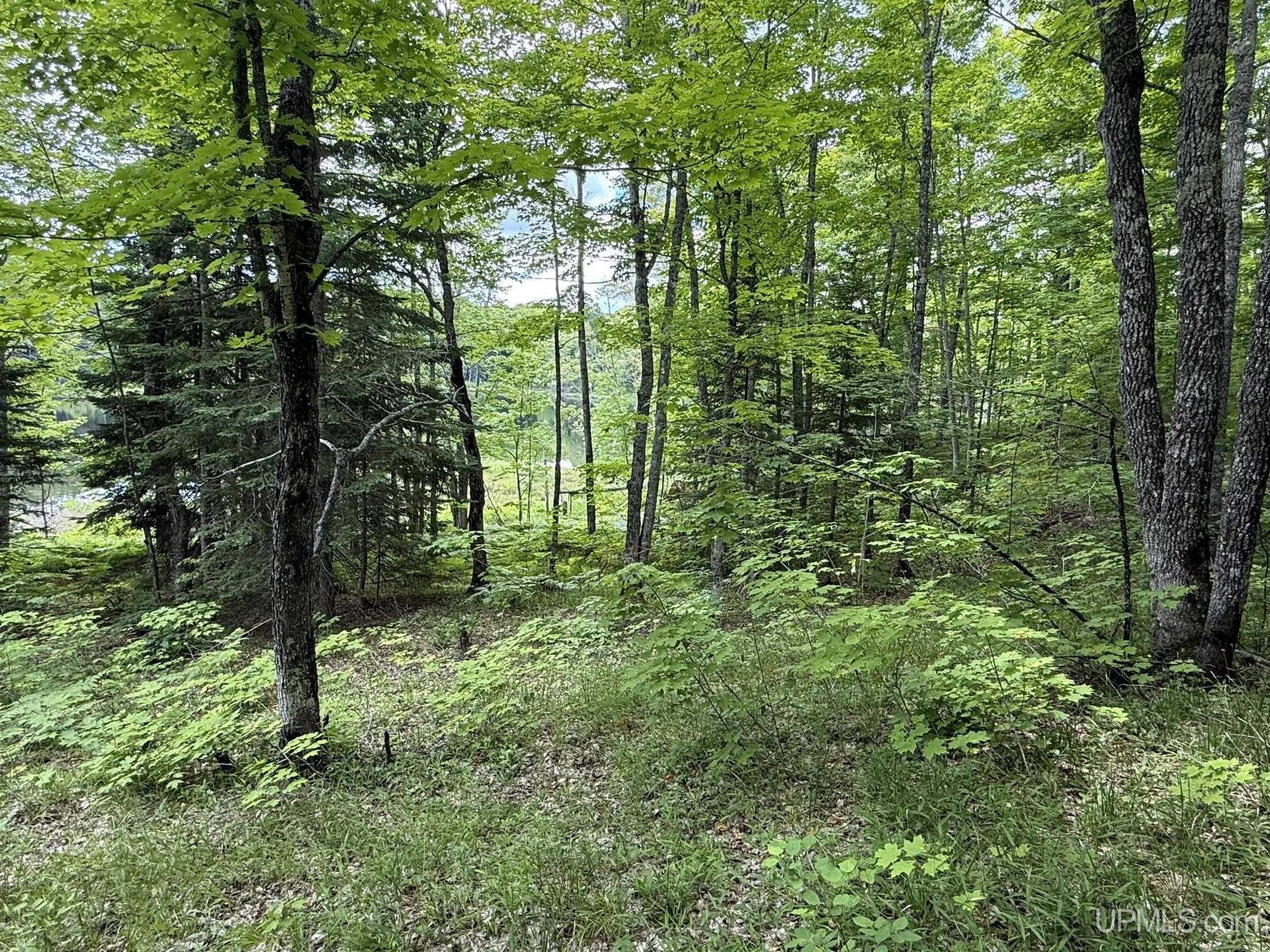 Tbda Winona Road Toivola, MI 49965 - Photo 11 of 18