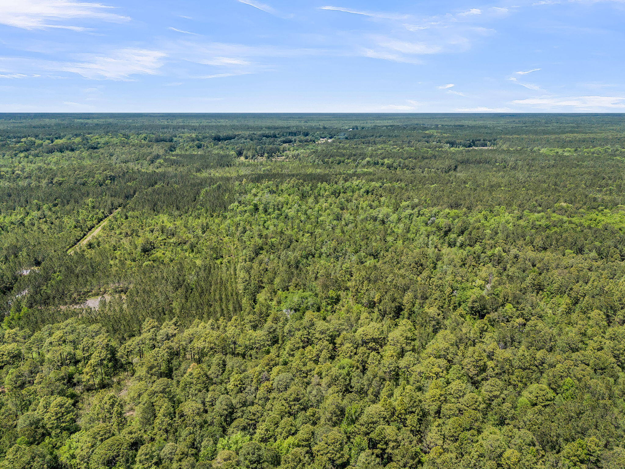 0 Deas Hill Road McClellanville, SC 29458 - Photo 12 of 20