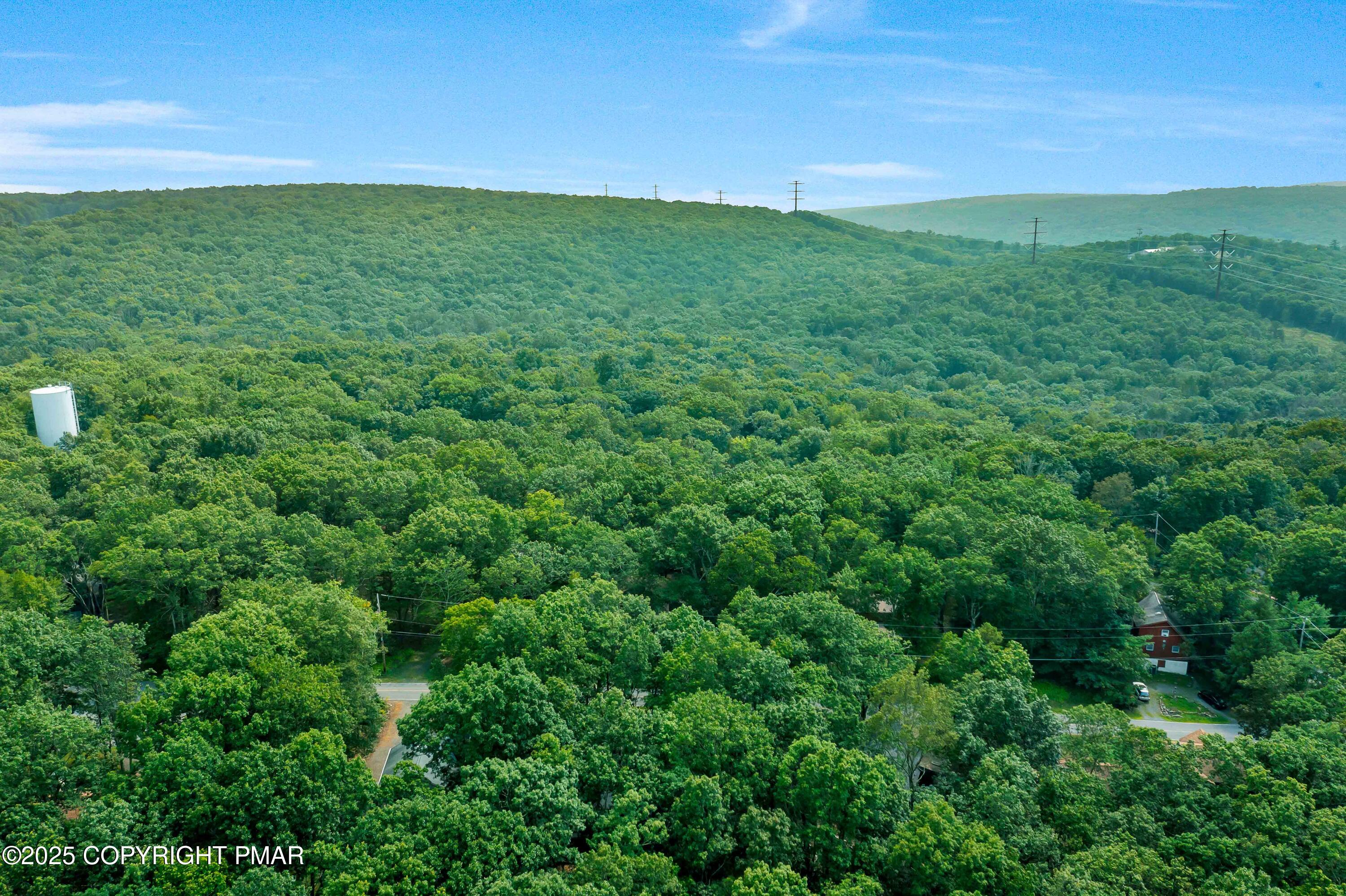 151 Elgin Way Bushkill, PA 18324 - Photo 58 of 60 a view of a green field with lots of bushes