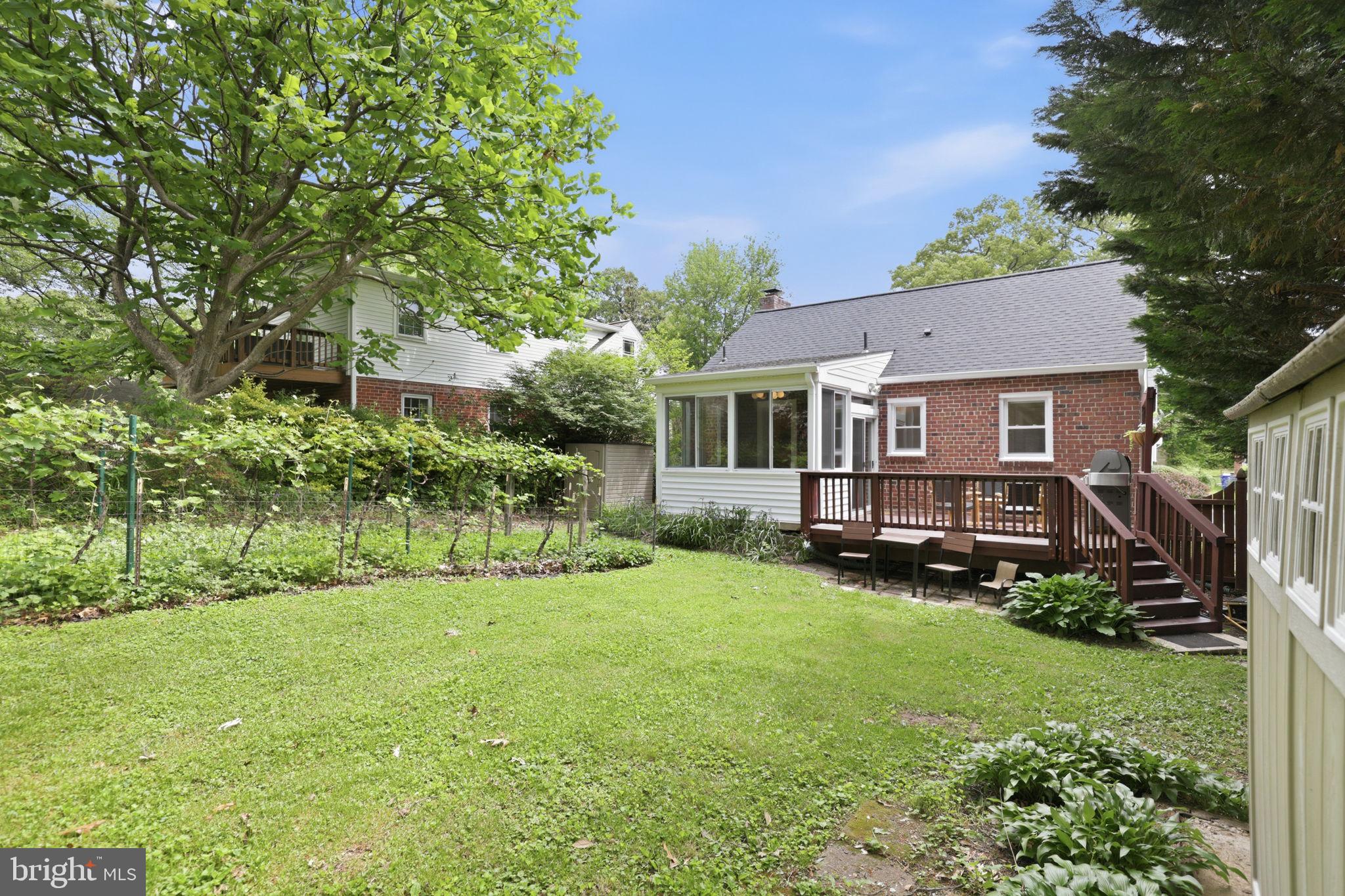 10510 Hayes Avenue Silver Spring, MD 20902 - Photo 23 of 24 Large backyard