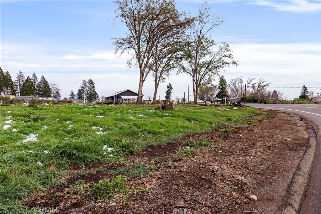 1087 Pearson Road Paradise, CA 95969 - Photo 13 of 15 a backyard of a house with lots of green space and fog