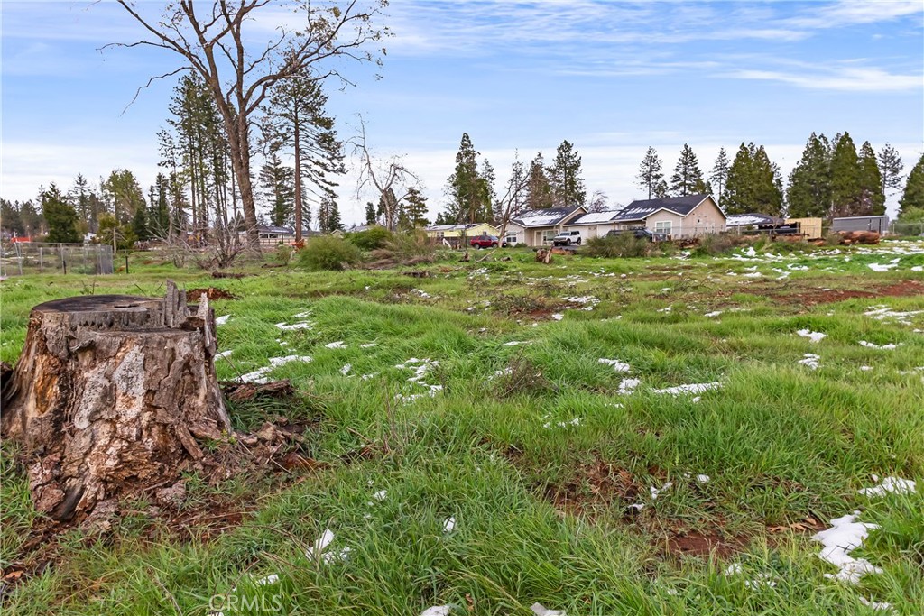 1087 Pearson Road Paradise, CA 95969 - Photo 7 of 15 a view of a park with large trees