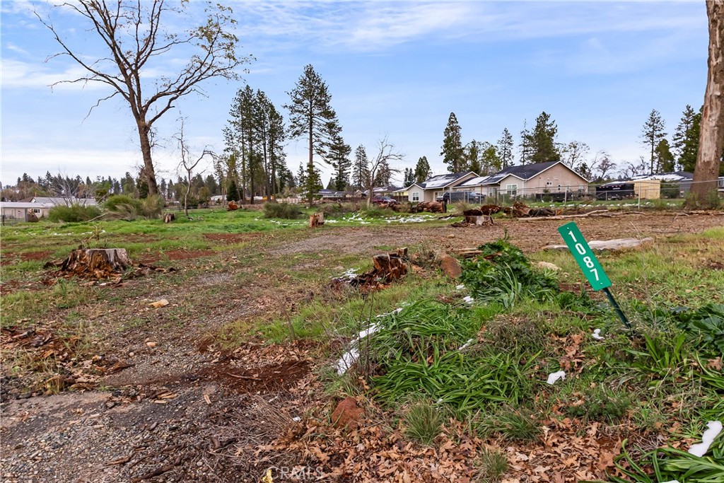 1087 Pearson Road Paradise, CA 95969 - Photo 8 of 15 a view of a town with large trees