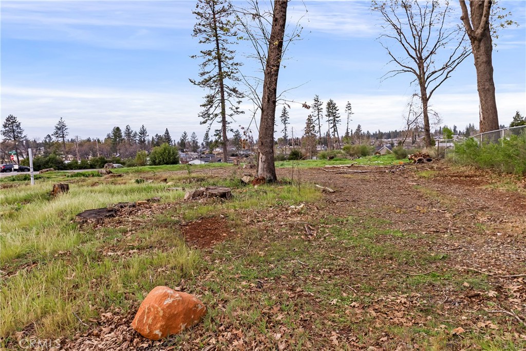 1087 Pearson Road Paradise, CA 95969 - Photo 9 of 15 a view of a yard with an trees