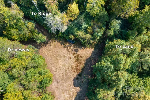 a view of a garden with a tree