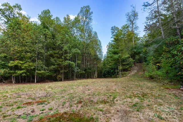 a view of backyard with green space