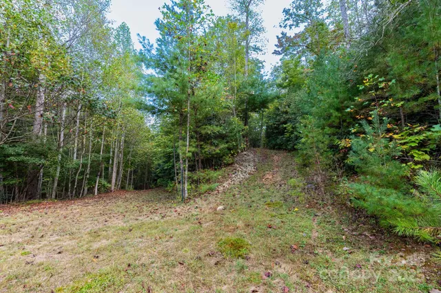 a view of backyard with green space
