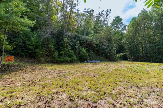 a view of a yard with a tree