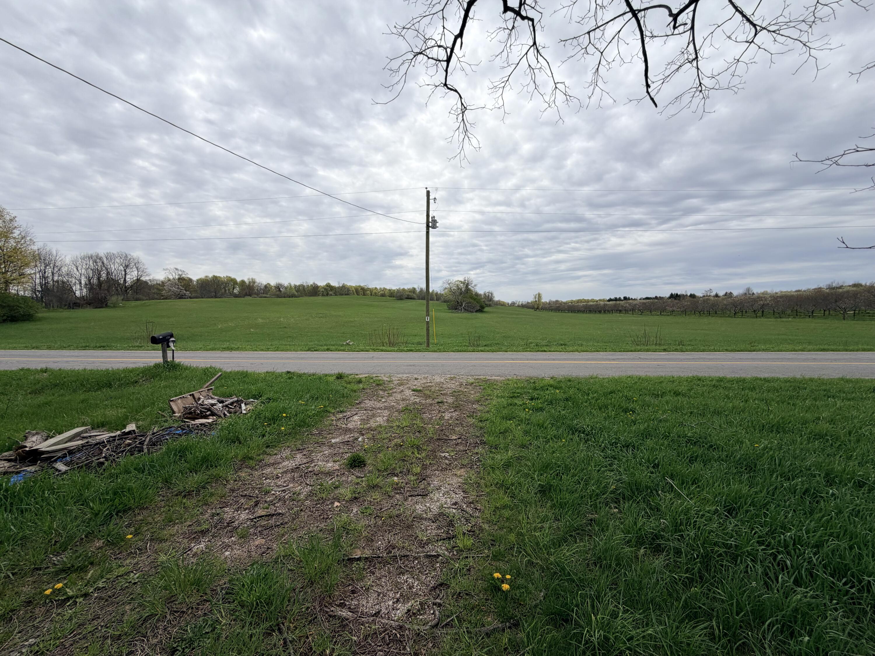 1734 East Wilson Road Custer, MI 49405 - Photo 19 of 24 drive way view across street