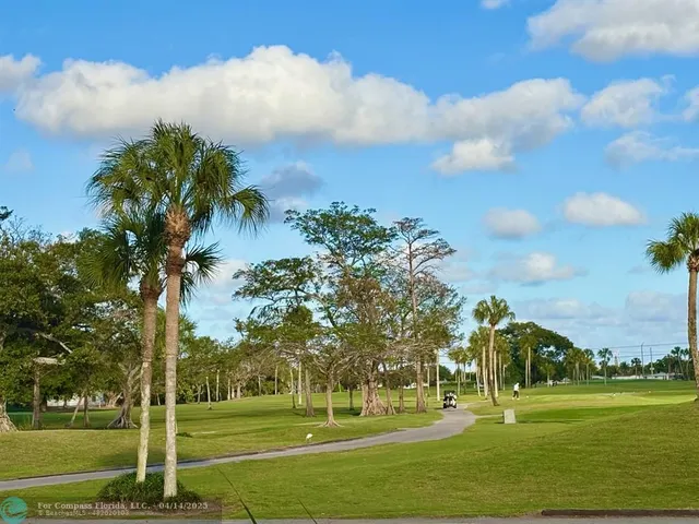 a view of a patio with table and chairs potted plants and palm tree