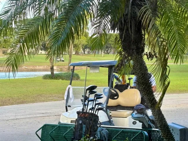 a view of a patio with table and chairs potted plants and palm tree