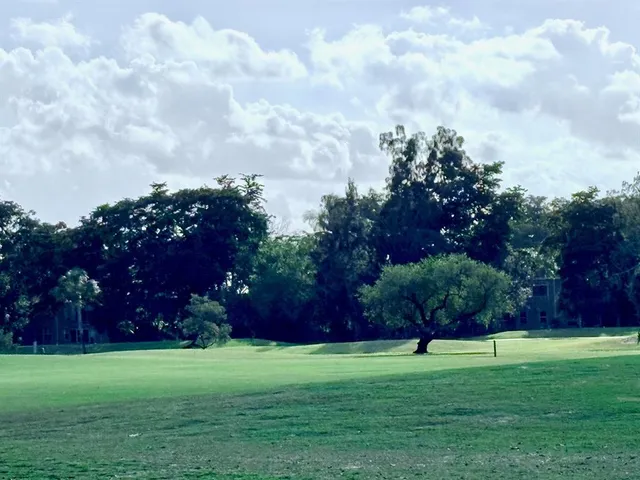 a big yard with lots of green space