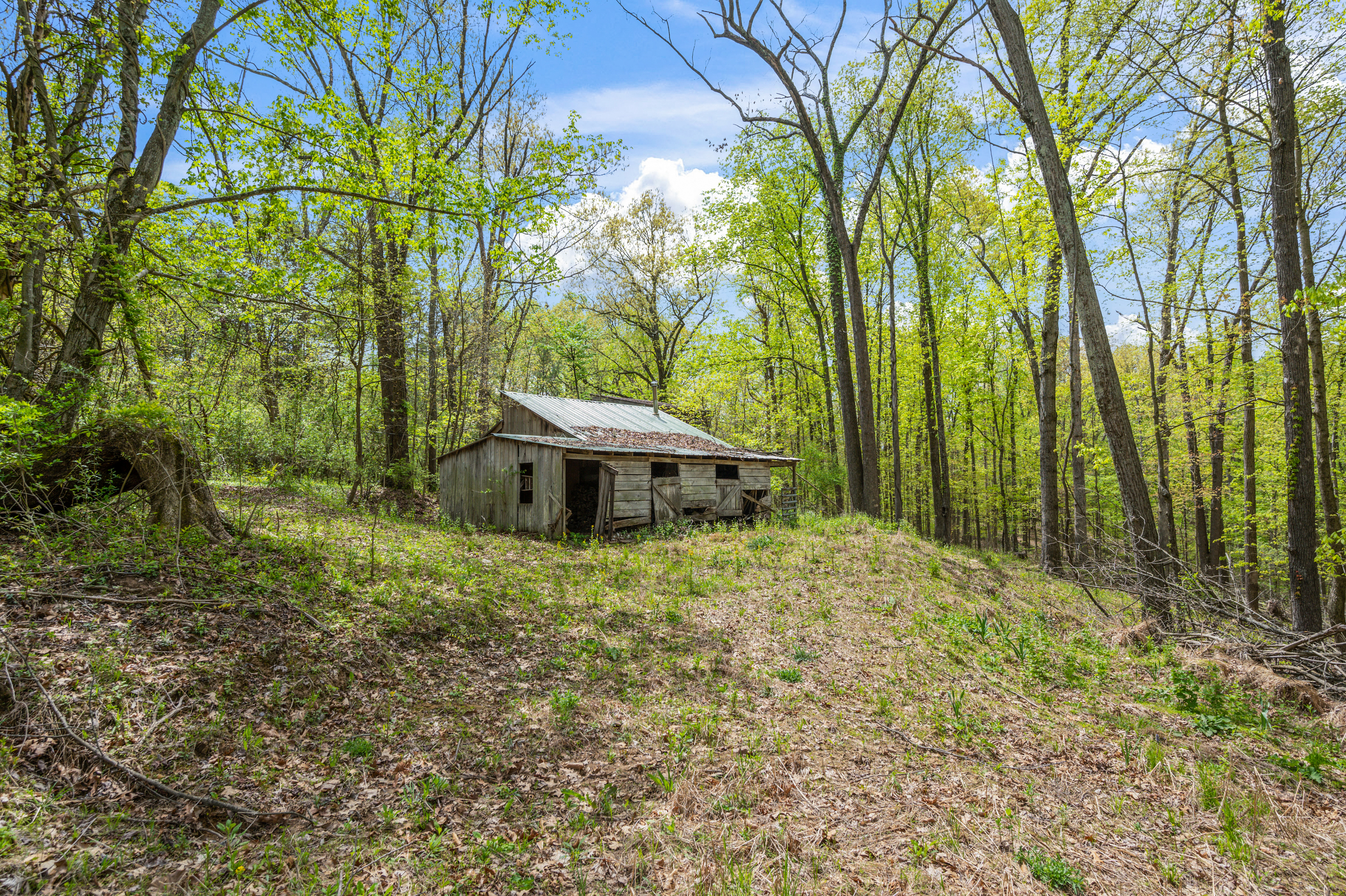 3187 Lanam Ridge Road Nashville, IN 47448 - Photo 52 of 100 Gallery Image 52