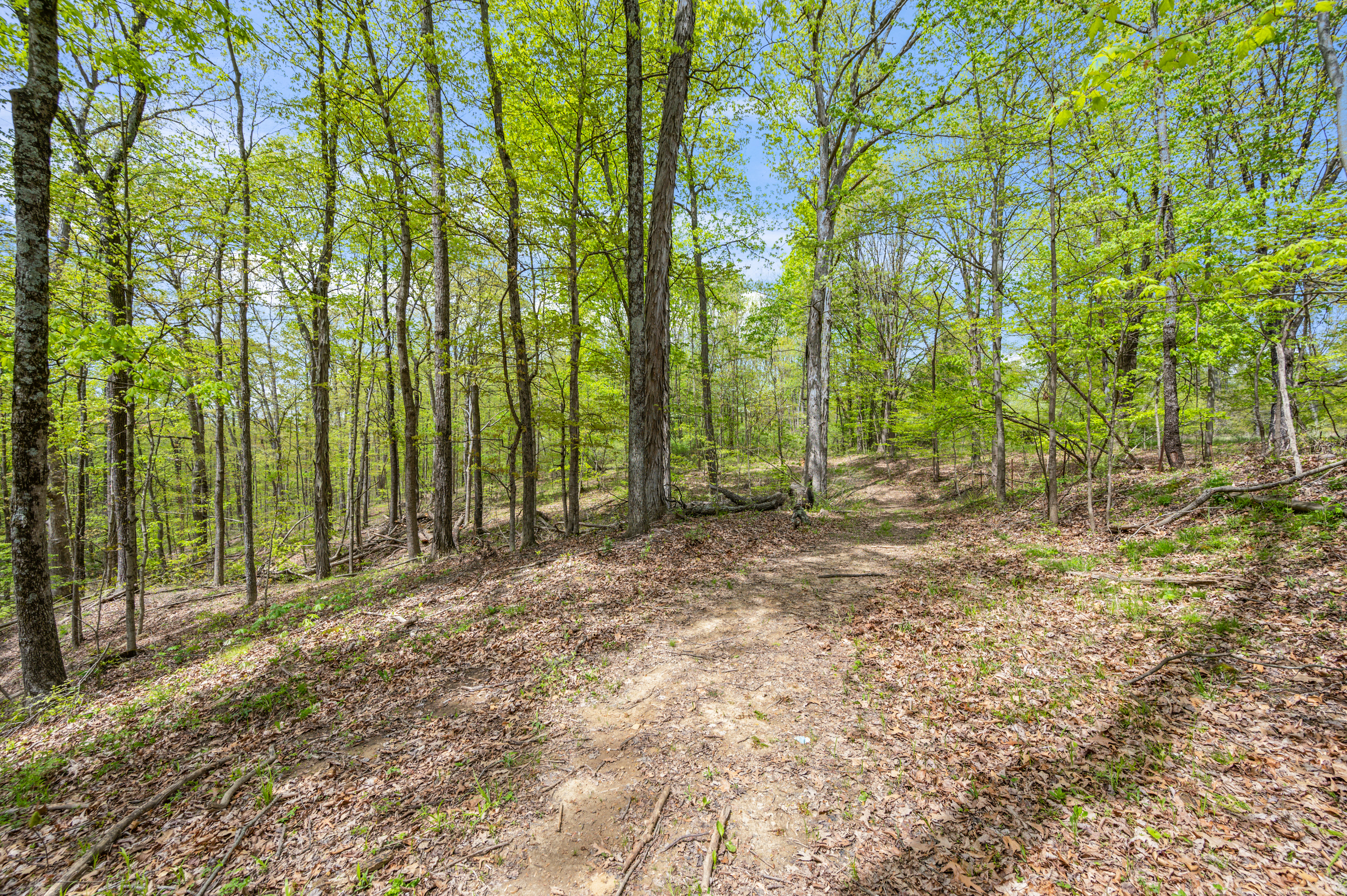 3187 Lanam Ridge Road Nashville, IN 47448 - Photo 53 of 100 Gallery Image 53