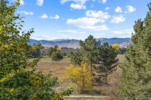 a view of a yard with mountain