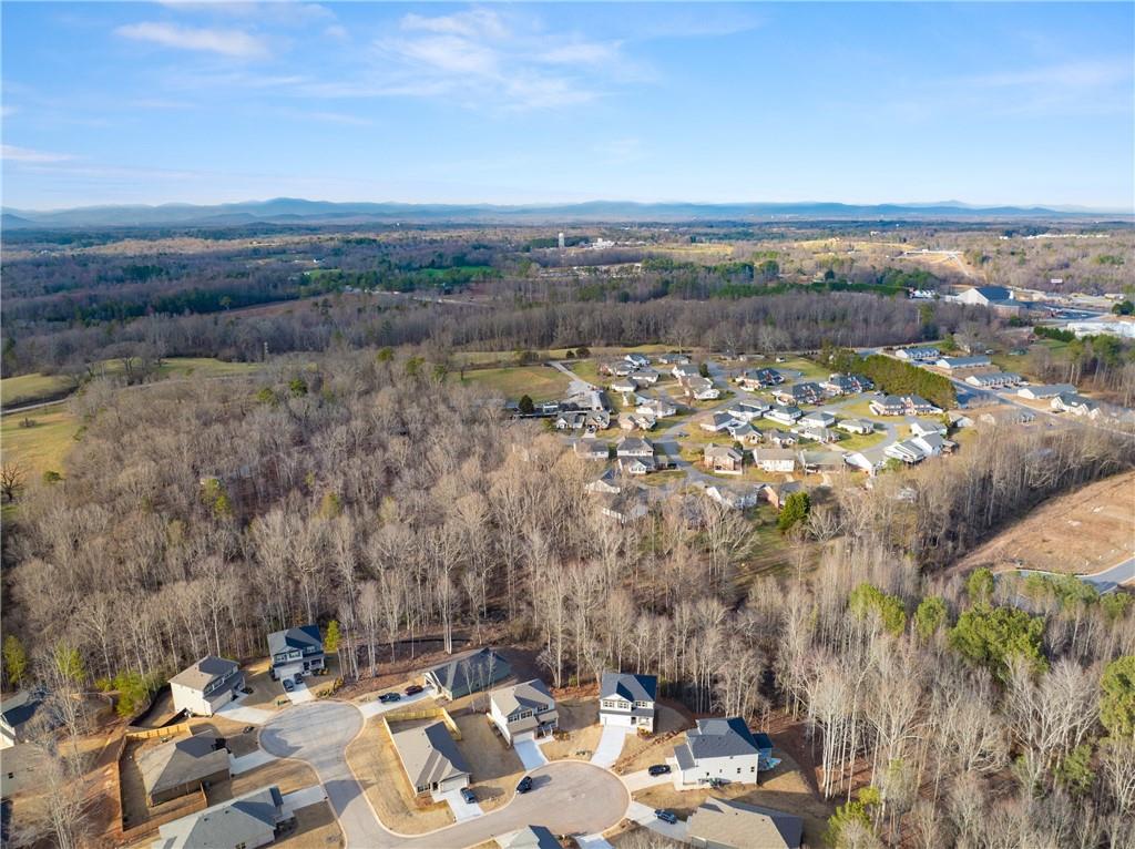 321 Magnolia Villas Drive Cornelia, GA 30531 - Photo 39 of 57