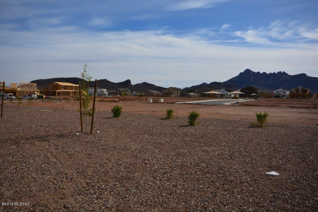 9863 North Howling Wolf Road Marana, AZ 85653 - Photo 24 of 27