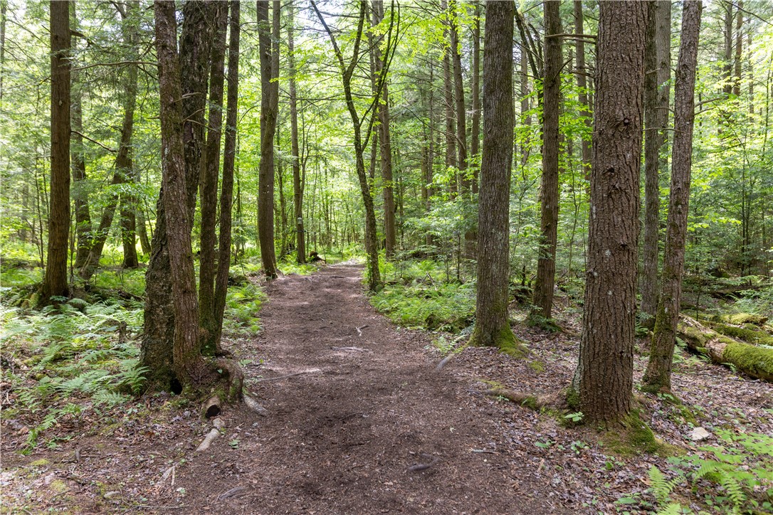 120 Marvin Road Smithville, NY 13841 - Photo 38 of 50 Trails in the forest to sites,