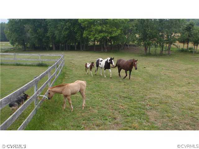 3259 Maidens Road Powhatan, VA 23139 - Photo 5 of 12 Land/Lot