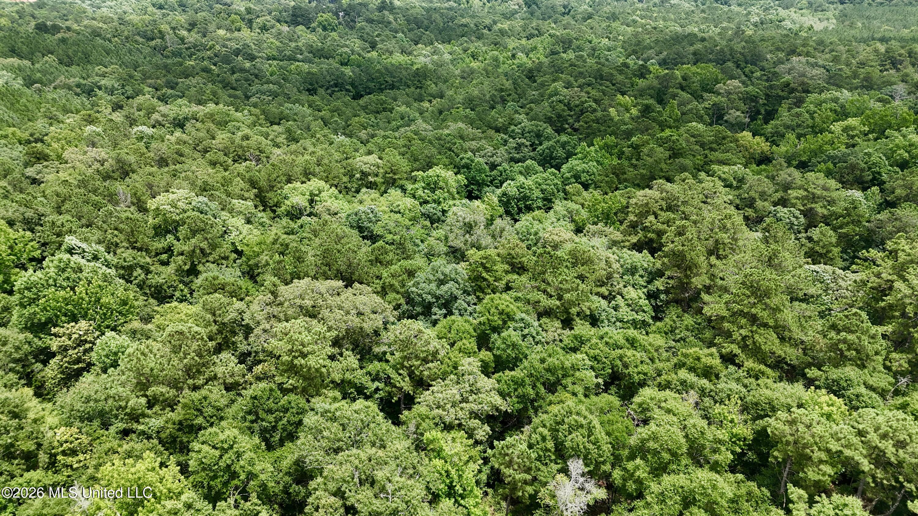 204 Mississippi 35 Raleigh, MS 39153 - Photo 32 of 32 dji_fly_20260617_134042_0302_17818737183