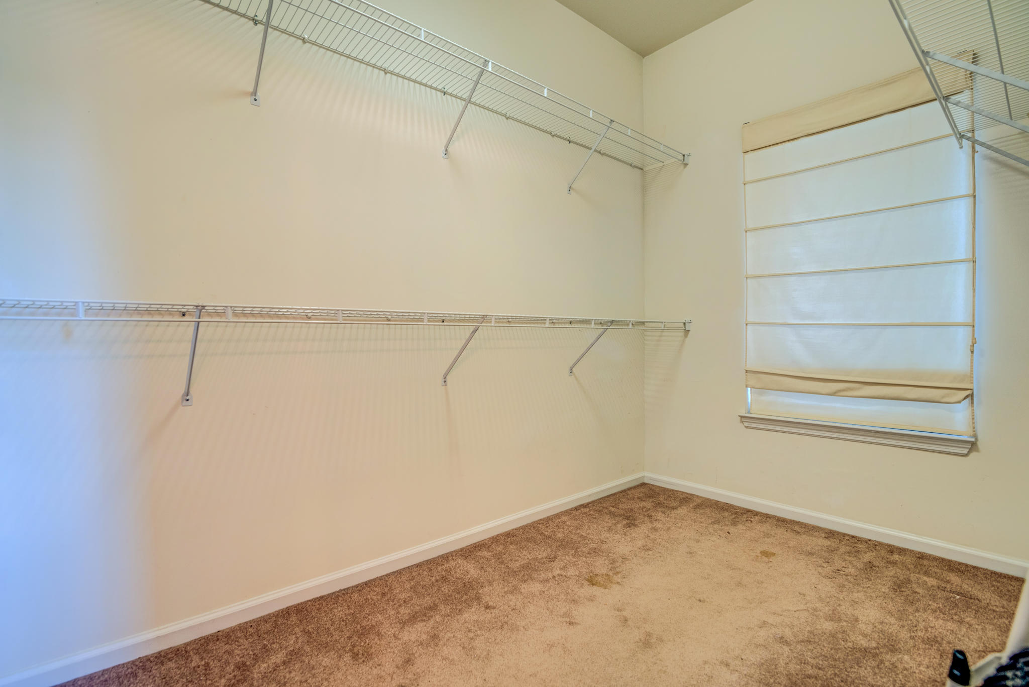 157 Sugar Magnolia Way Charleston, SC 29414 - Photo 20 of 35 157 Sugar Magnolia-24
