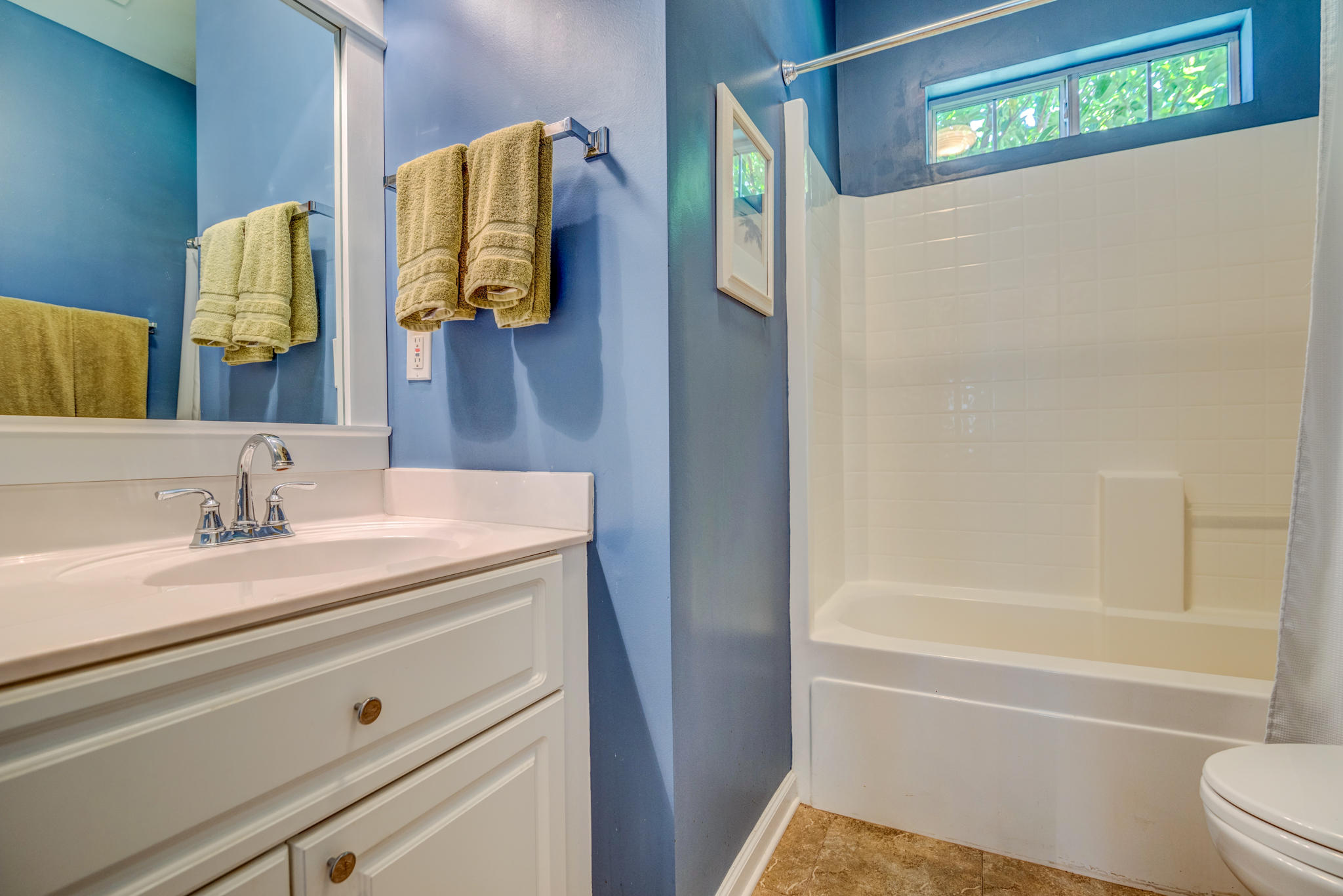 157 Sugar Magnolia Way Charleston, SC 29414 - Photo 21 of 35 157 Sugar Magnolia-3