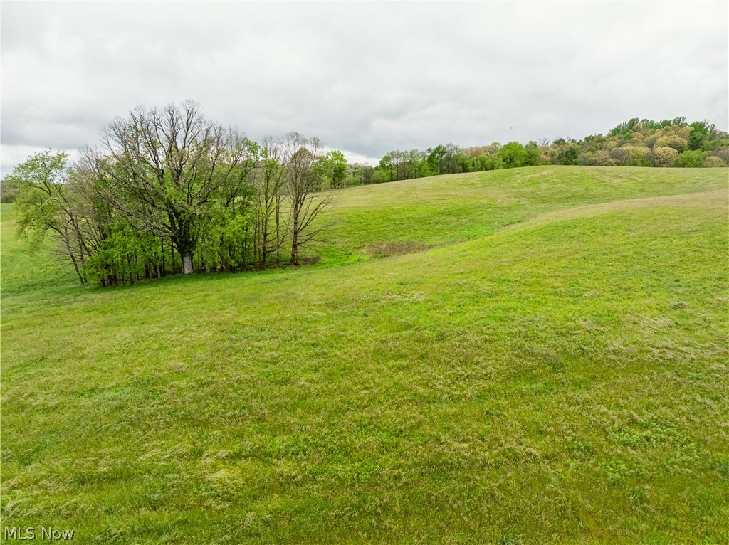 Timmerman Road Bowerston, OH 44695 - Photo 10 of 26