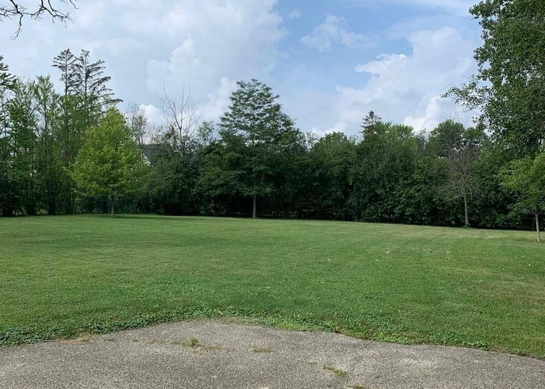 1930 Sunset Ridge Road Northfield, IL 60093 - Photo 4 of 4 a view of a grassy field