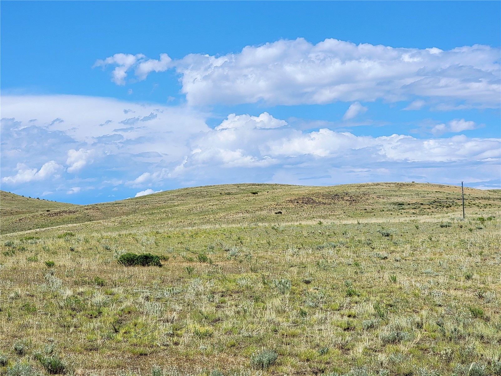 3999 Delaware Road Hartsel, CO 80449 - Photo 14 of 23 View of undeveloped land with rural landscape